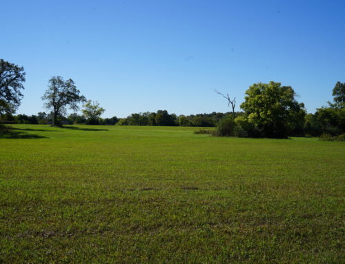 Montgomery County – 20 Acres