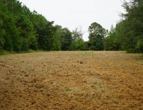 Barbour County – 122 Acres