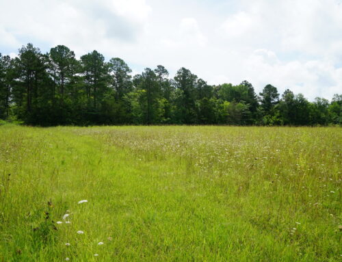 Montgomery County – 335 Acres