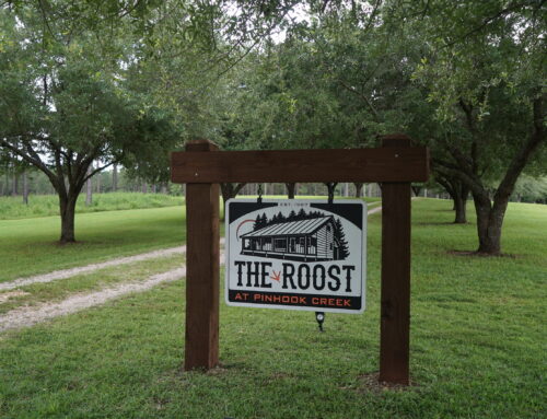Bullock County – 86 Acres