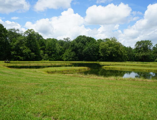 Montgomery County- 128 Acres