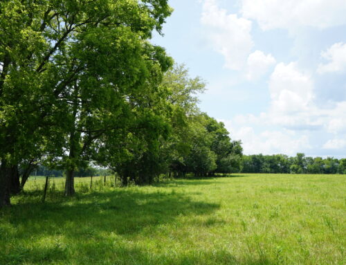 Montgomery County- 113