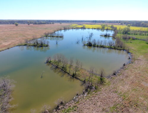 Montgomery County – 224 Acres
