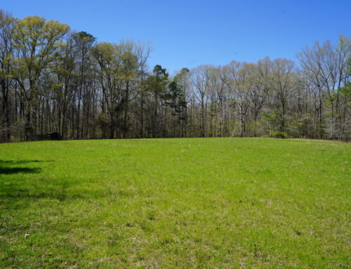 Piney Branch Plantation – South Montgomery County Estate Lots