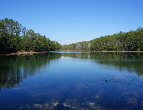 Conecuh, Escambia County – 536 Acres