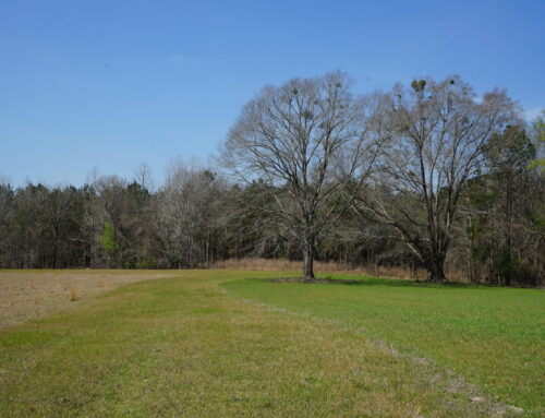 Montgomery County – 164 Acres