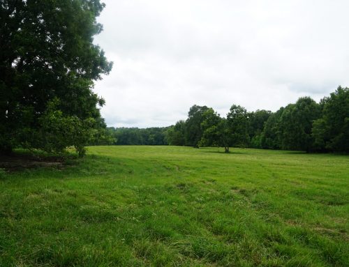 Montgomery County – 320 Acres