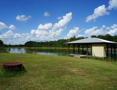 Montgomery County – 511 Acres