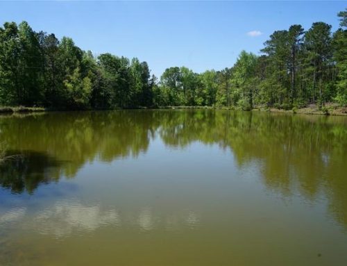 Montgomery County- 261 Acres