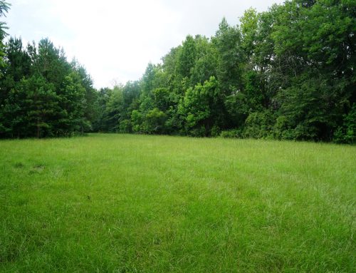 Montgomery County- 115 Acres