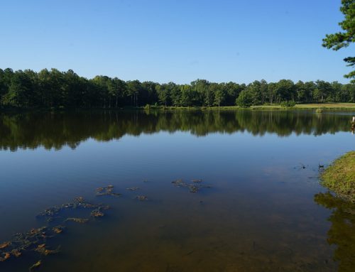 Montgomery County- 360 Acres